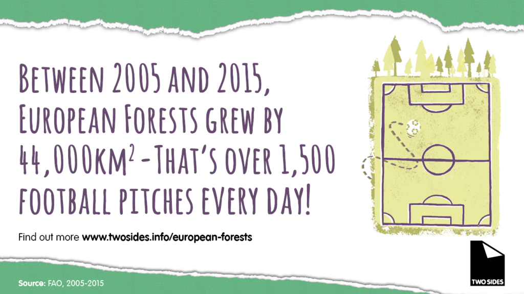 Forests growing by 1500 football pitches
