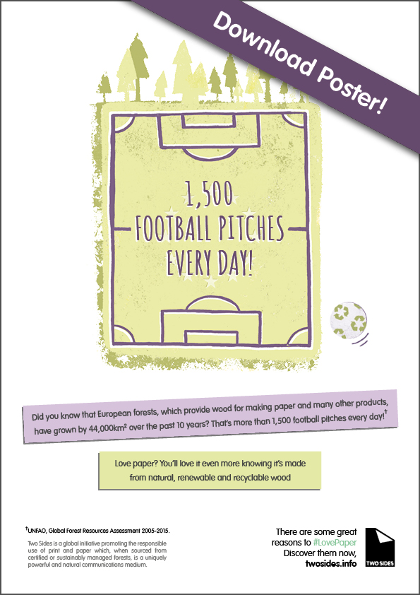Football Pitch Poster
