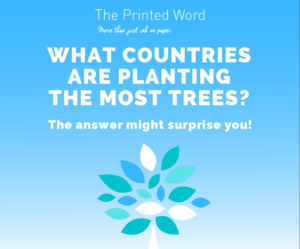 What Countries Are Planting The Most Trees